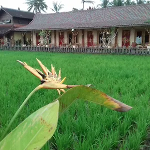 https://rice-padi-artha.ubudhotelsnow.com